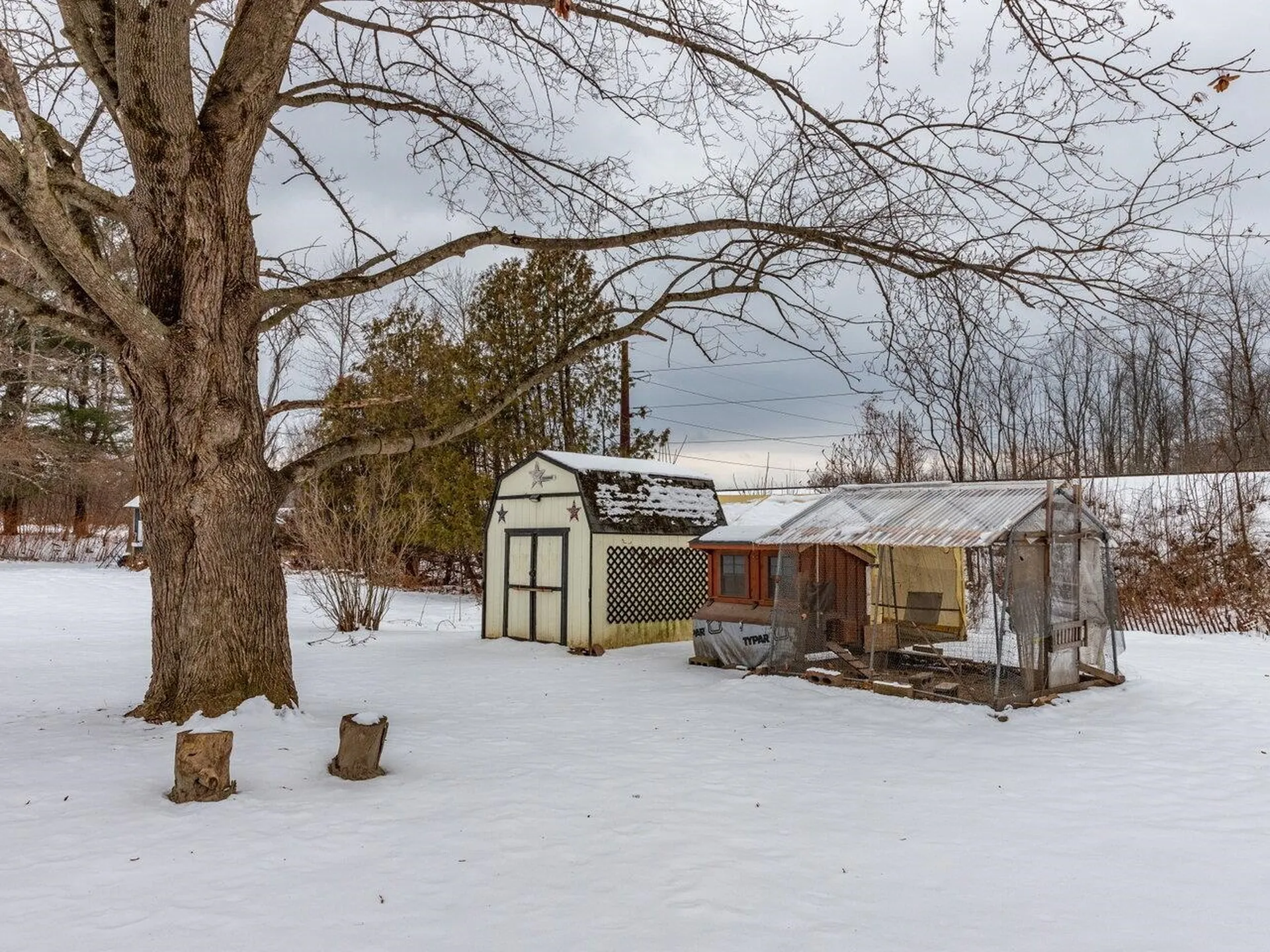 4966 Shelburne Road Shelburne VT 05482