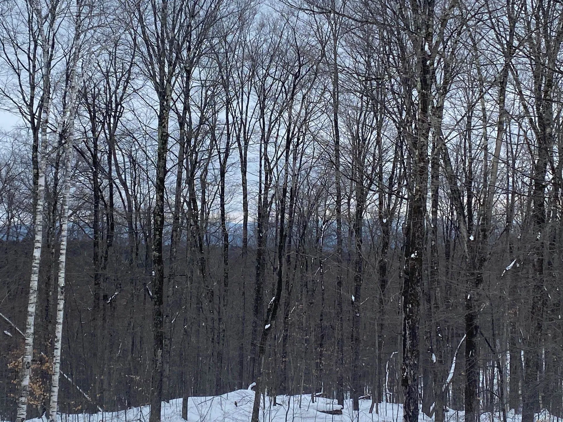 1284 Beaver Meadow Road Norwich VT 05055