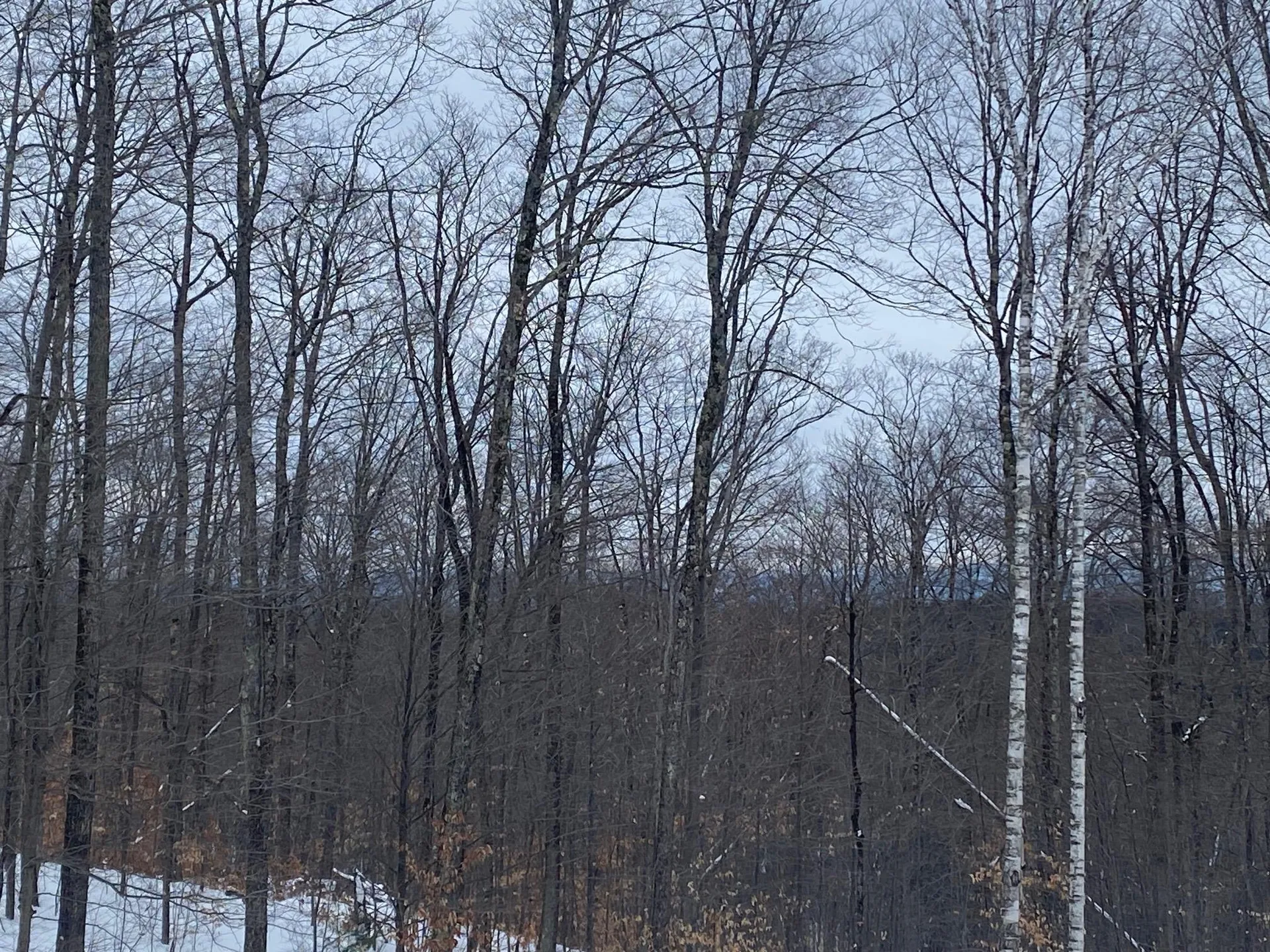 1284 Beaver Meadow Road Norwich VT 05055