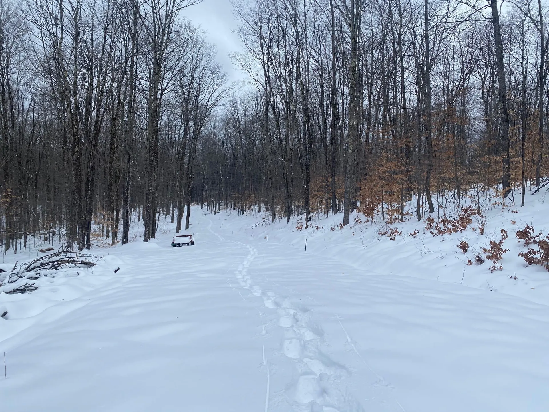 1284 Beaver Meadow Road Norwich VT 05055