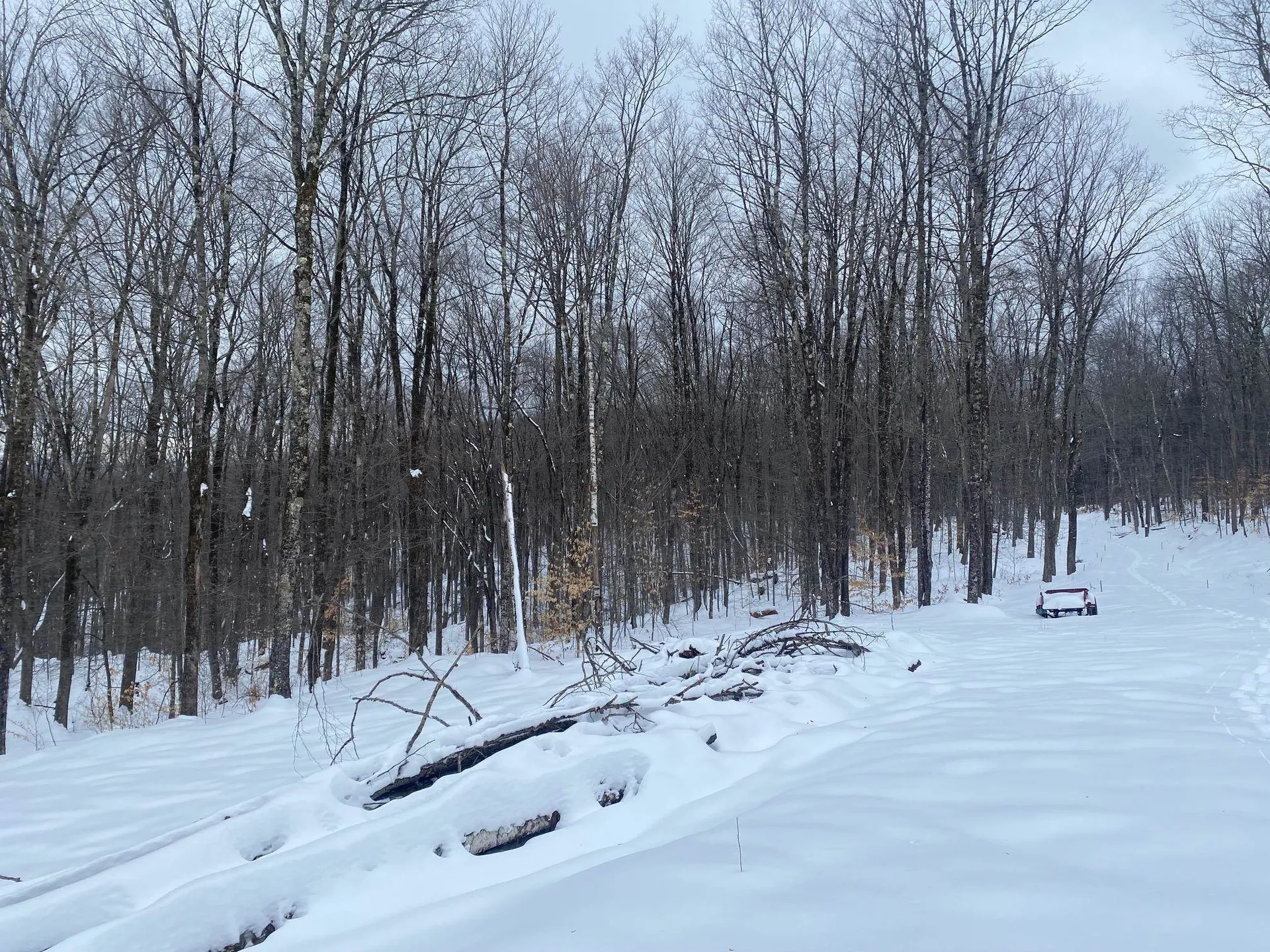 1284 Beaver Meadow Road Norwich VT 05055