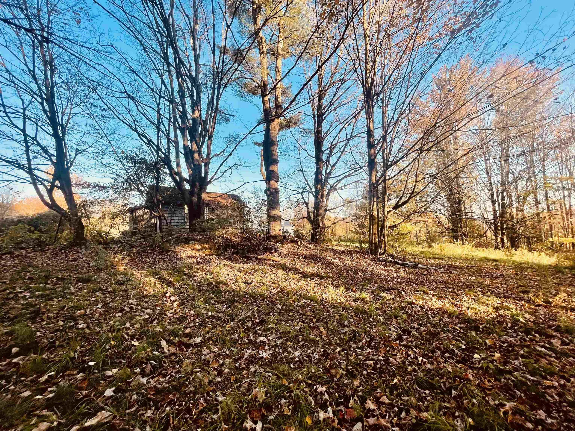 120 Forge Hill Road Lincoln VT 05447
