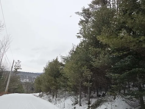 Lot 3 Jesse Lane Littleton NH 03561