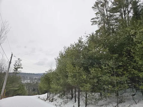 Lot 3 Jesse Lane Littleton NH 03561