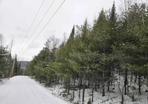 Lot 3 Jesse Lane Littleton NH 03561