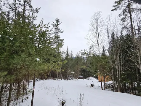 Lot 3 Jesse Lane Littleton NH 03561