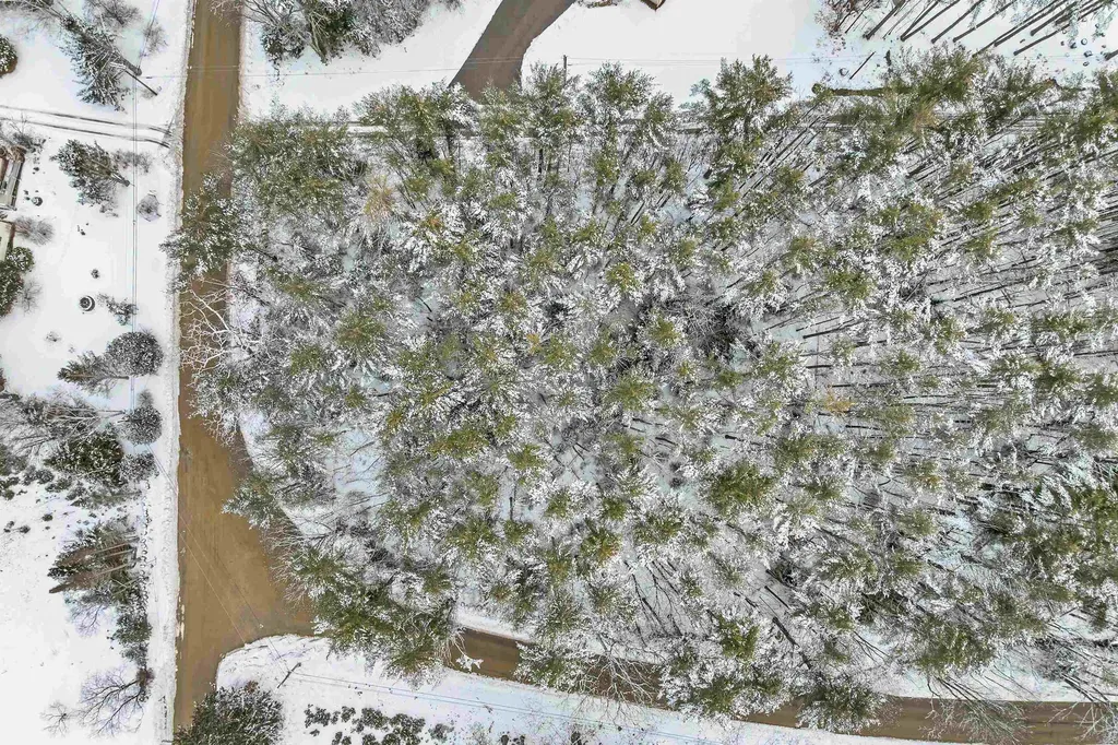 12 Mill Pond Road Tuftonboro NH 03850