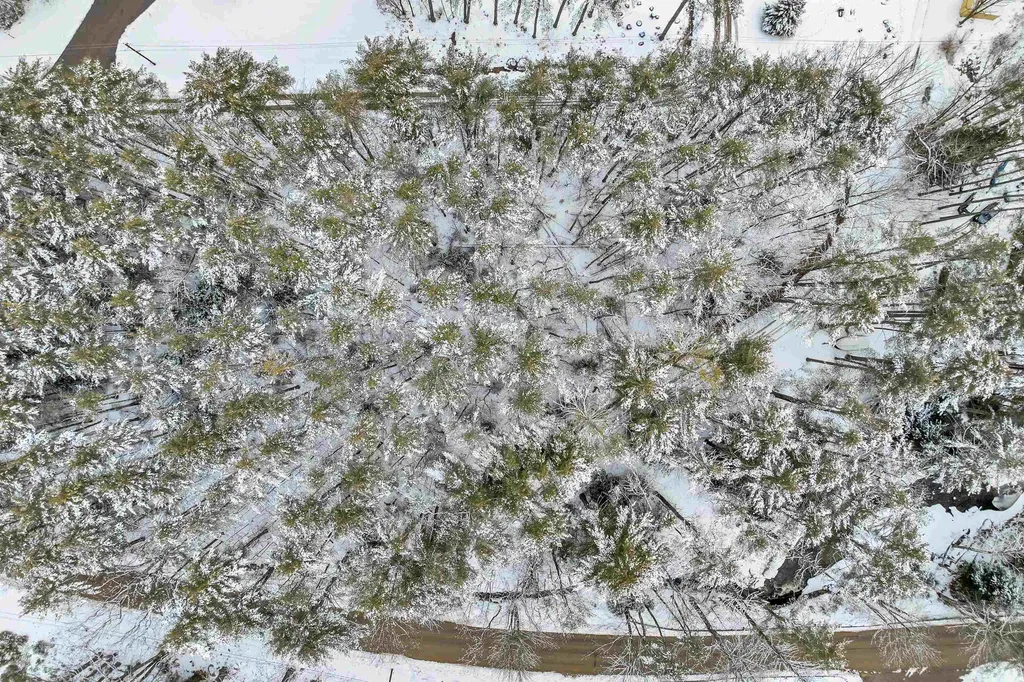 12 Mill Pond Road Tuftonboro NH 03850