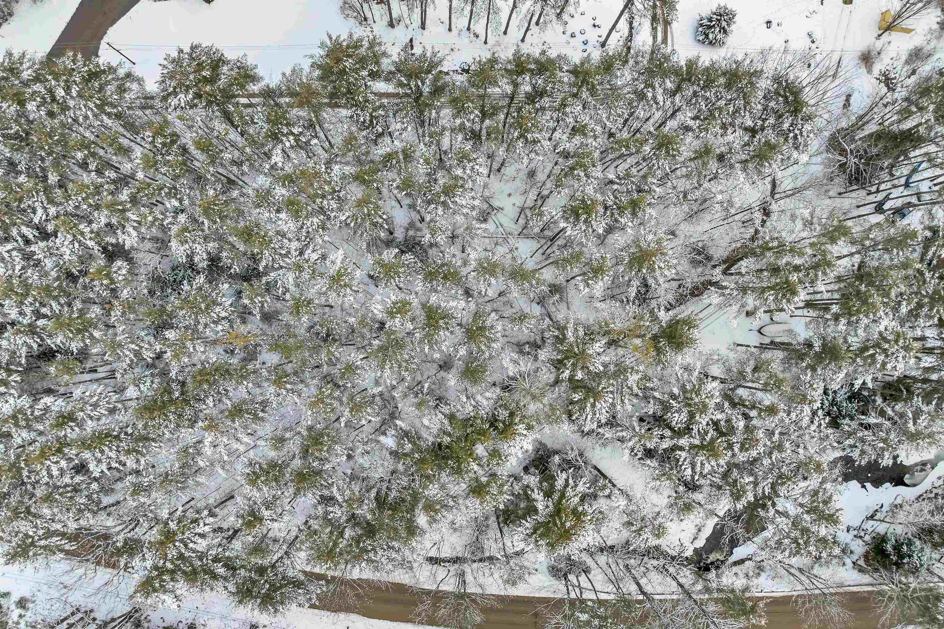 12 Mill Pond Road Tuftonboro NH 03850