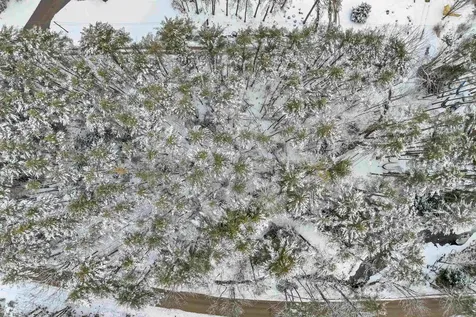 12 Mill Pond Road Tuftonboro NH 03850