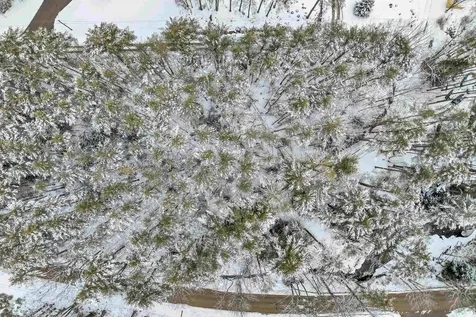 12 Mill Pond Road Tuftonboro NH 03850