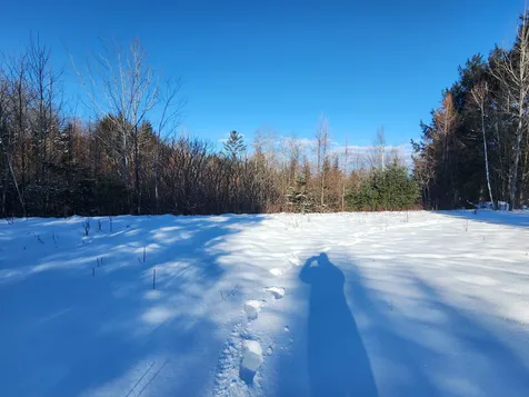 59 Blackberry Ridge Road Calais VT 05650