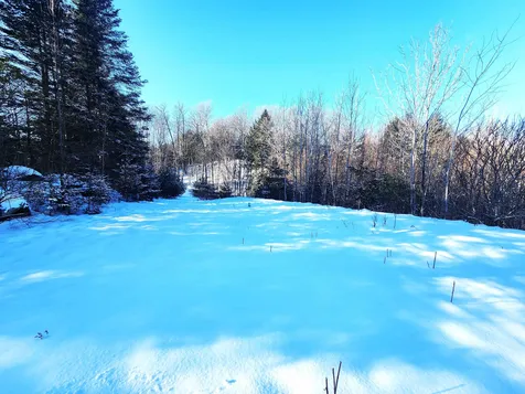 59 Blackberry Ridge Road Calais VT 05650