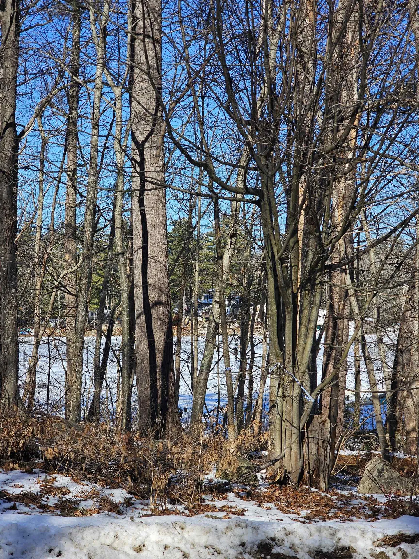4 Governors Drive Raymond NH 03077