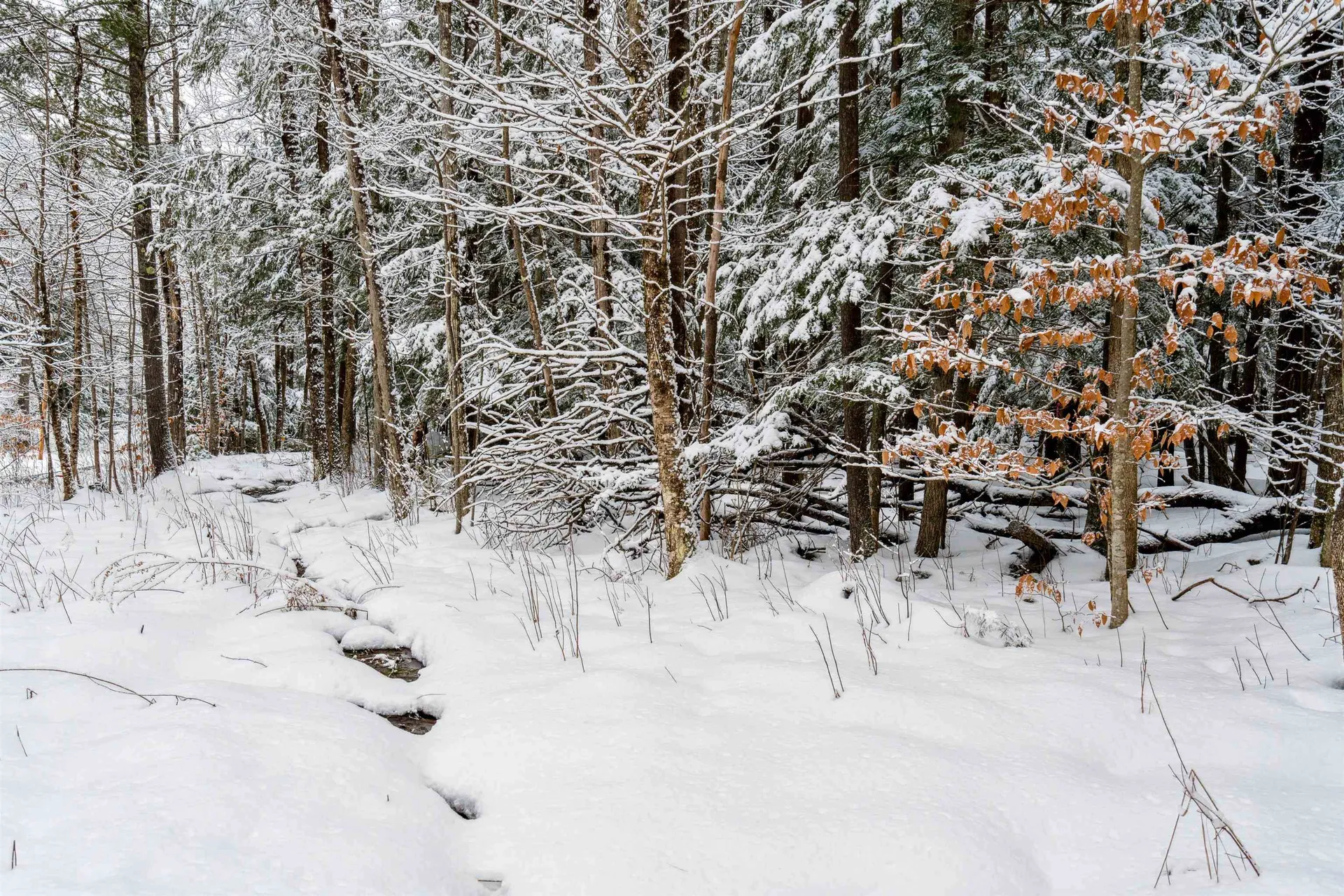 0 Slayton Hill Road Lebanon NH 03766