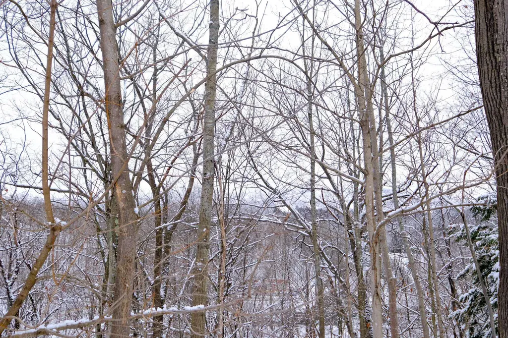 0 Prospect Street Ludlow VT 05149