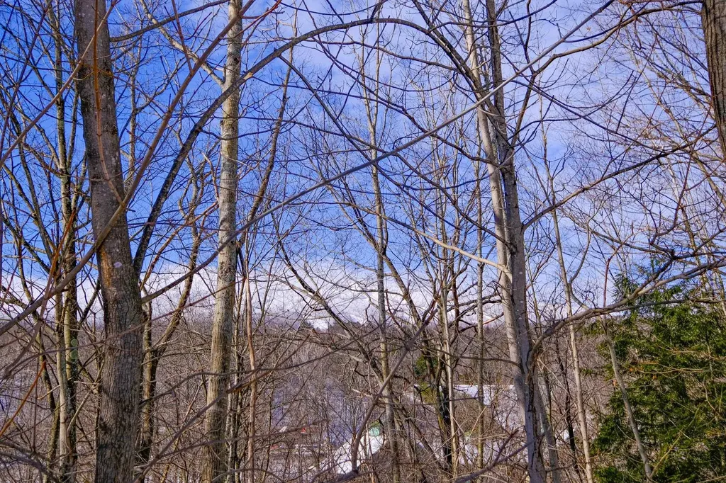 0 Prospect Street Ludlow VT 05149