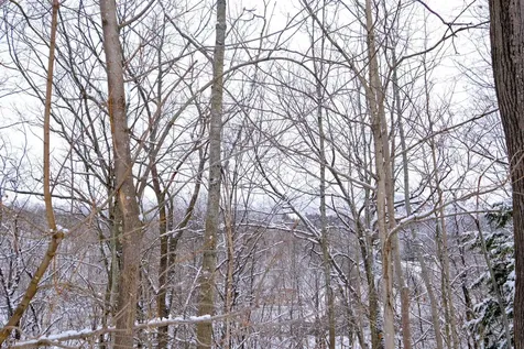 0 Prospect Street Ludlow VT 05149