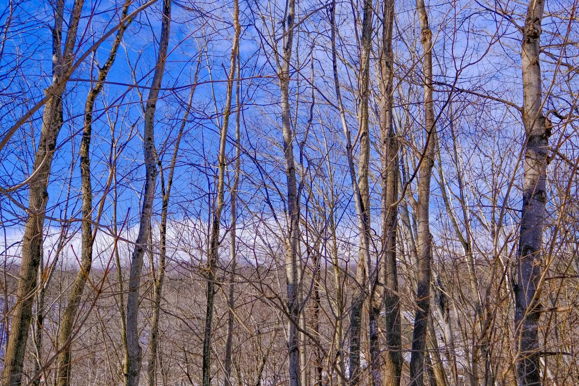 0 Prospect Street Ludlow VT 05149