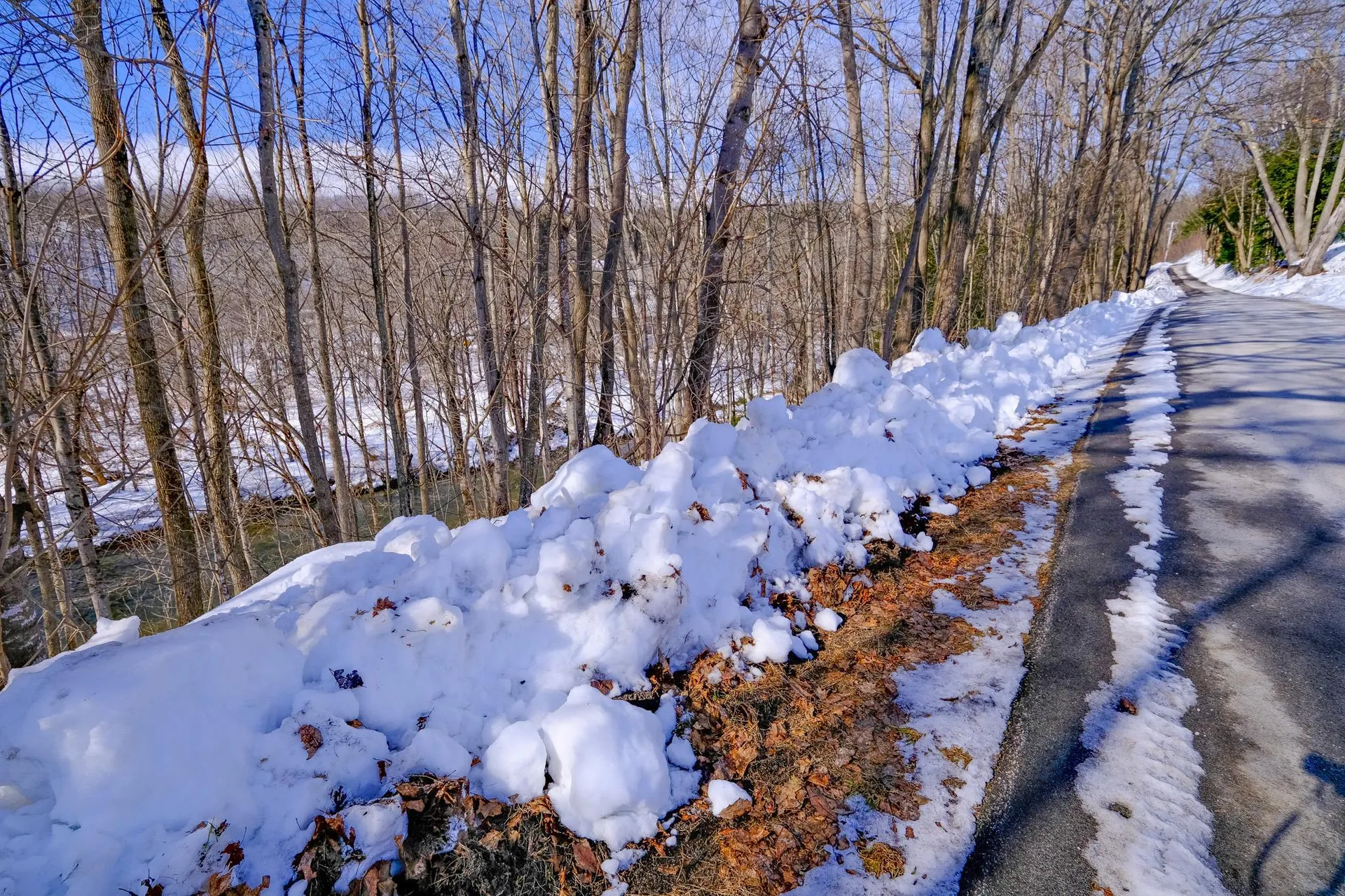 0 Prospect Street Ludlow VT 05149