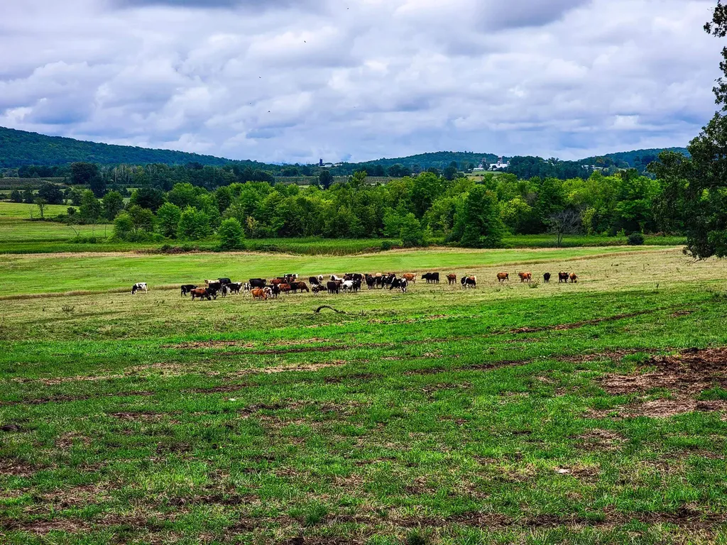 1450 Middle Road Bridport VT 05734