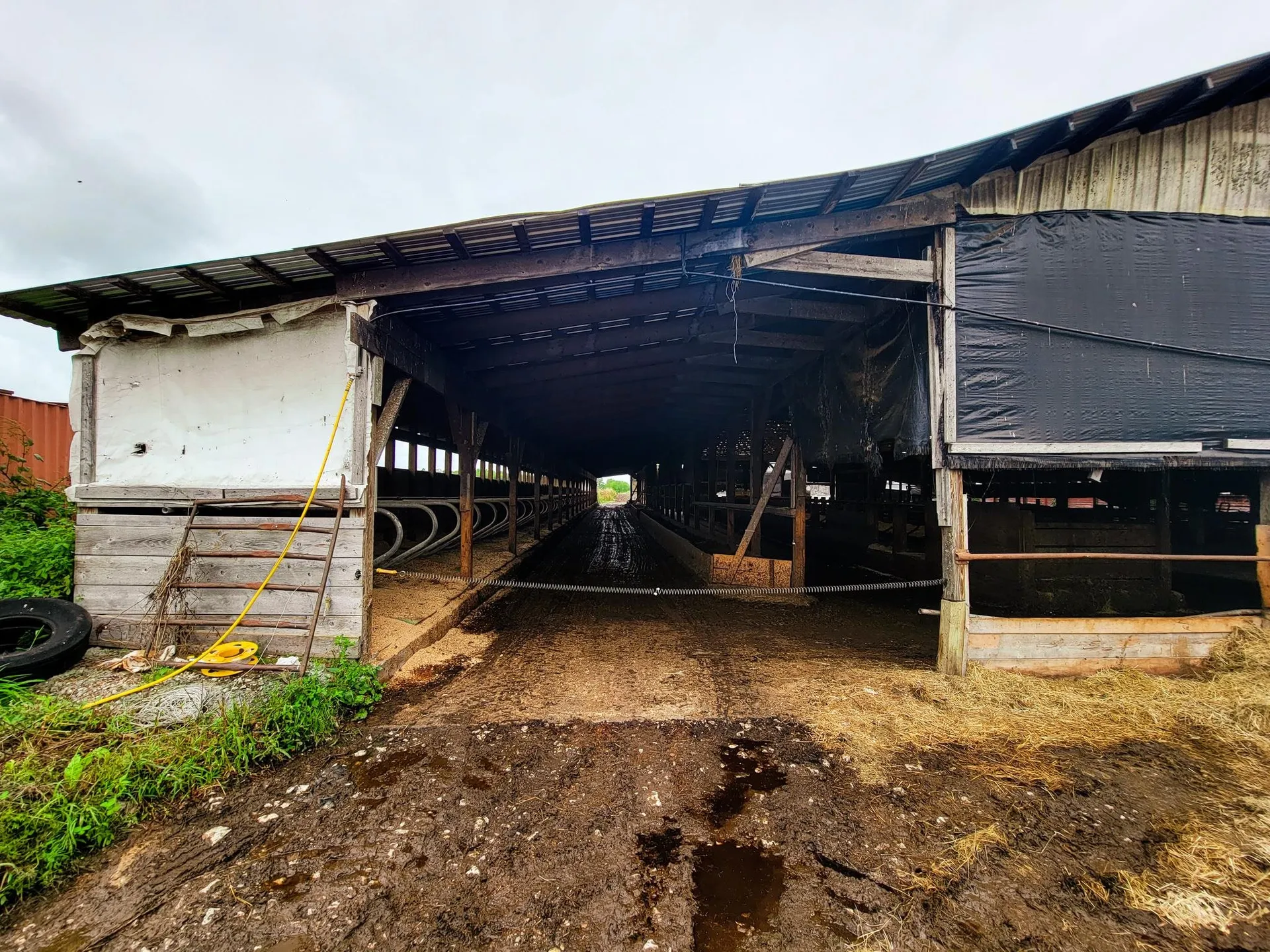 1450 Middle Road Bridport VT 05734