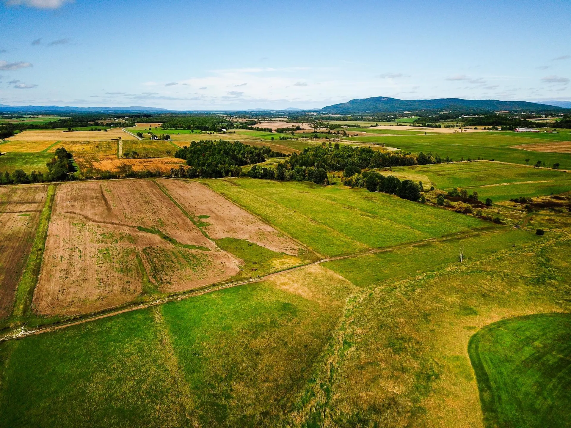 1450 Middle Road Bridport VT 05734