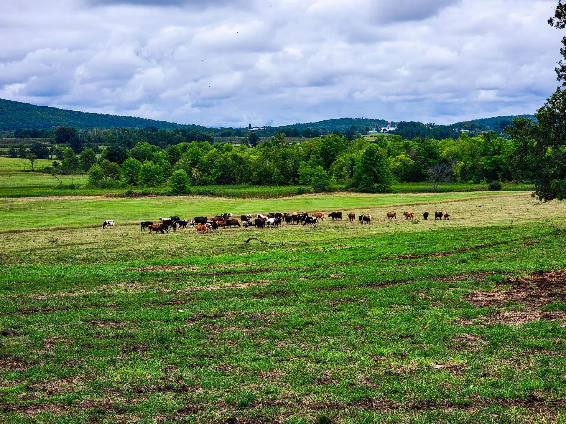 1450 Middle Road Bridport VT 05734