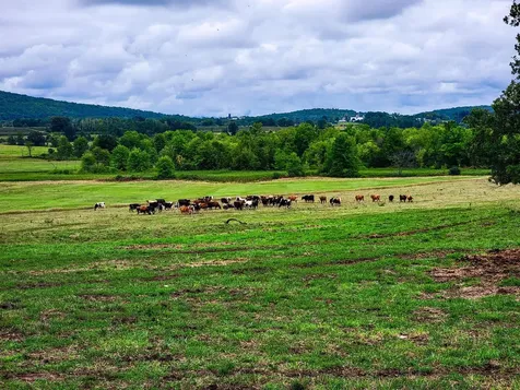 1450 Middle Road Bridport VT 05734