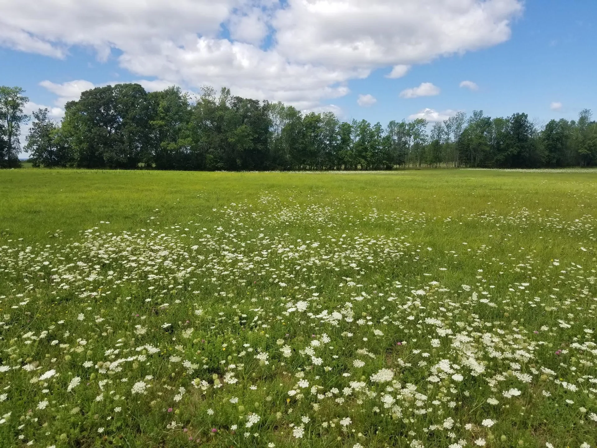 6 Quaker Road Grand Isle VT 05458