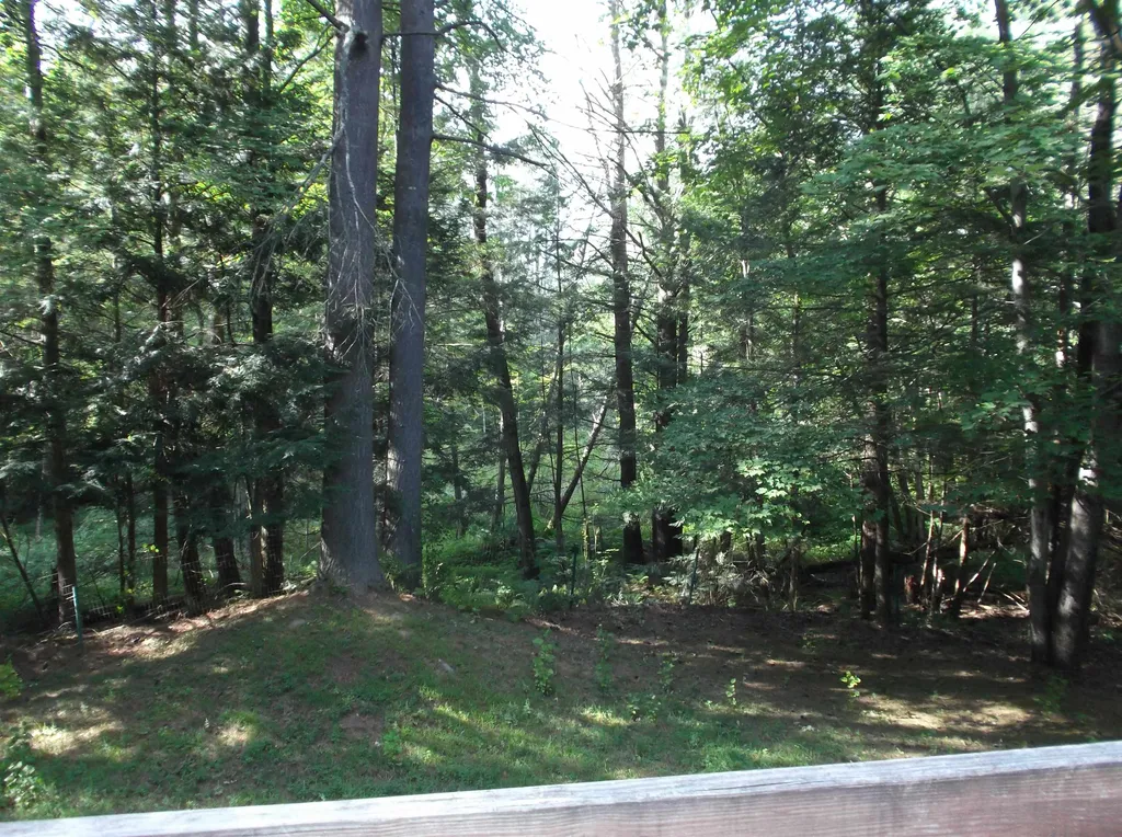 12 Autumn Court Jericho VT 05465
