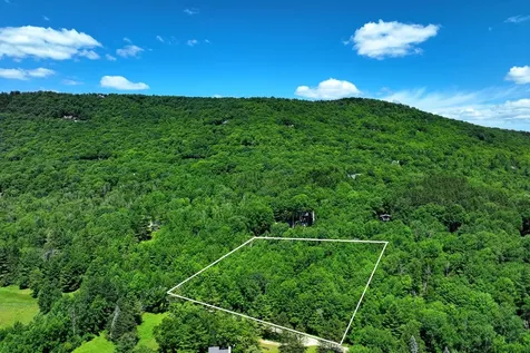 14 Osprey Run Rochester VT 05767