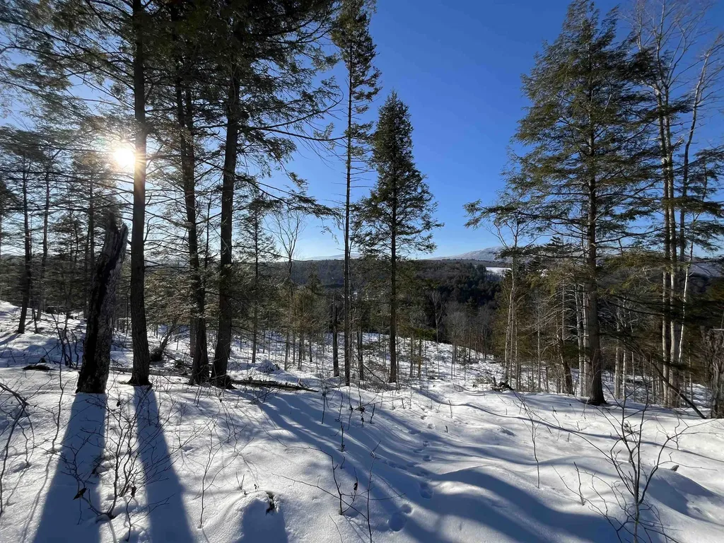 Macginnis Drive Ludlow VT 05149