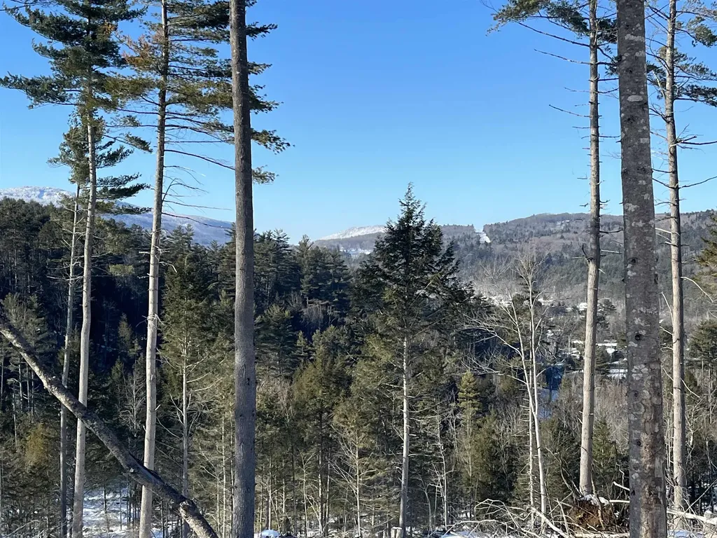 Macginnis Drive Ludlow VT 05149