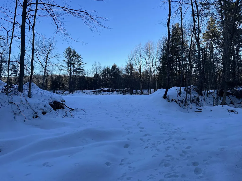 Macginnis Drive Ludlow VT 05149