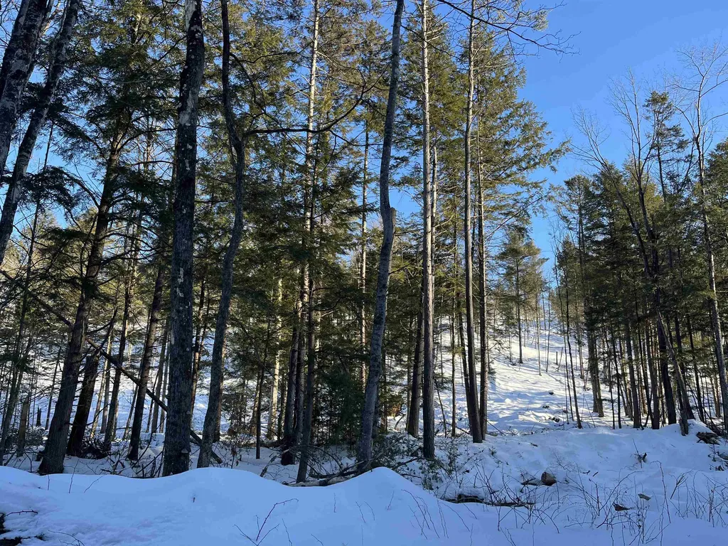 Macginnis Drive Ludlow VT 05149