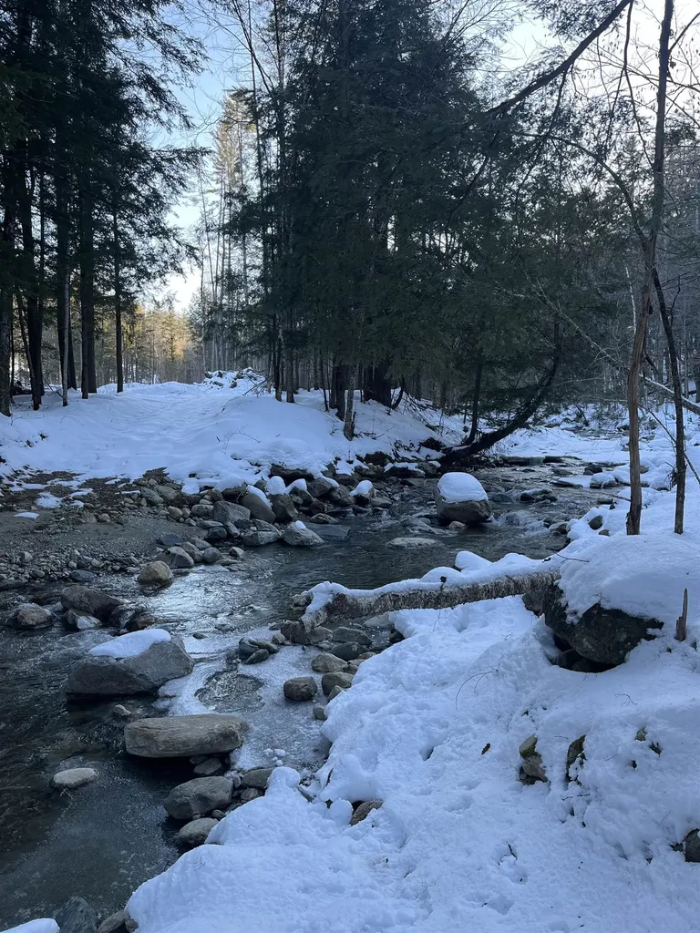 Macginnis Drive Ludlow VT 05149