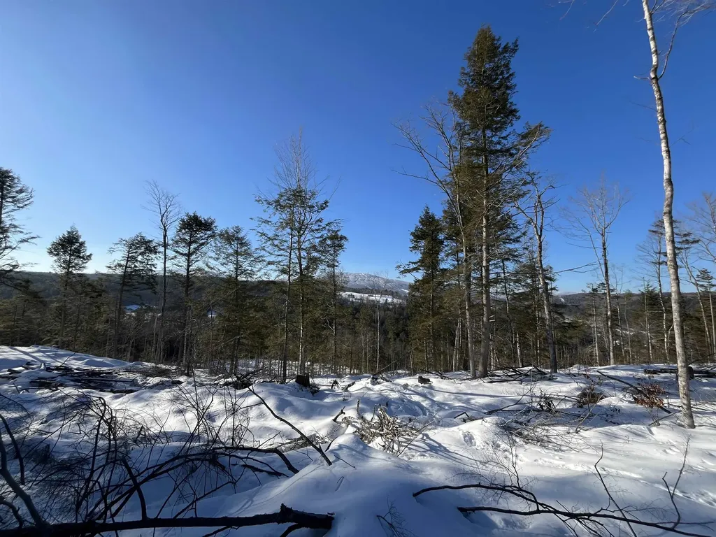 Macginnis Drive Ludlow VT 05149