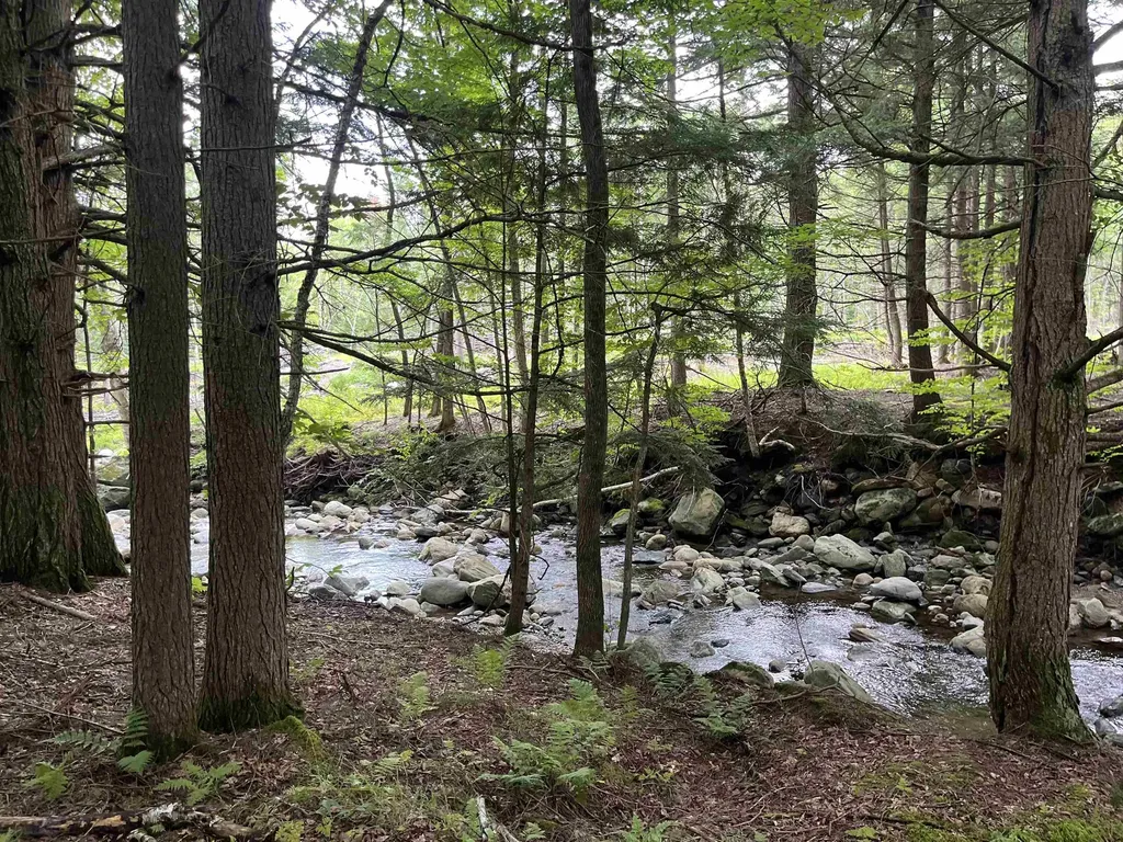 Macginnis Drive Ludlow VT 05149