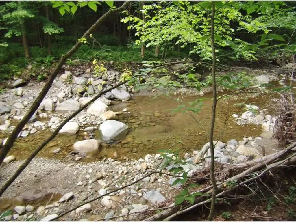 Macginnis Drive Ludlow VT 05149