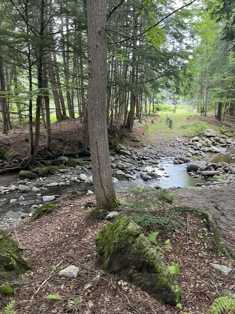 Macginnis Drive Ludlow VT 05149