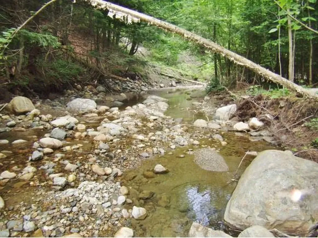 Macginnis Drive Ludlow VT 05149