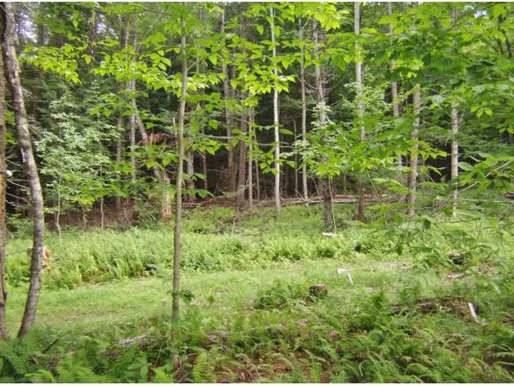 Macginnis Drive Ludlow VT 05149