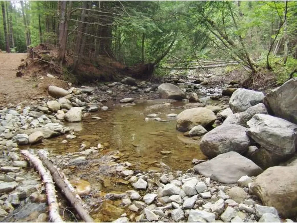 Macginnis Drive Ludlow VT 05149