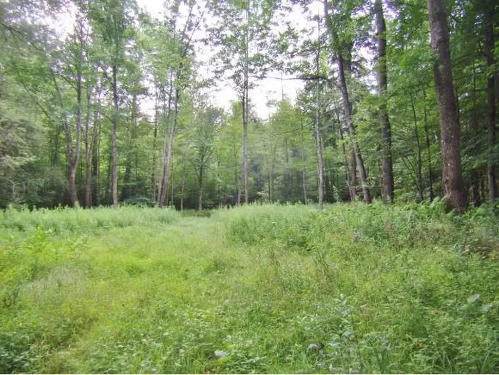 Macginnis Drive Ludlow VT 05149