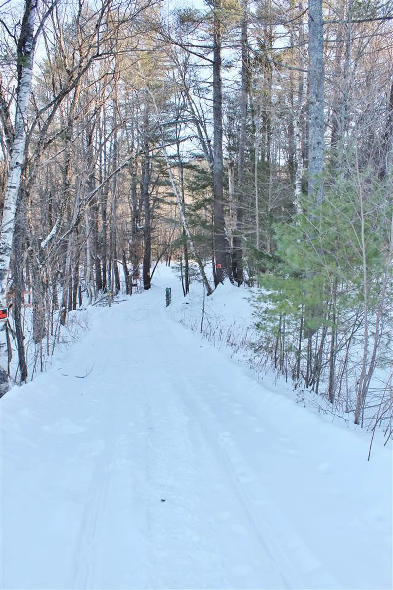 Macginnis Drive Ludlow VT 05149