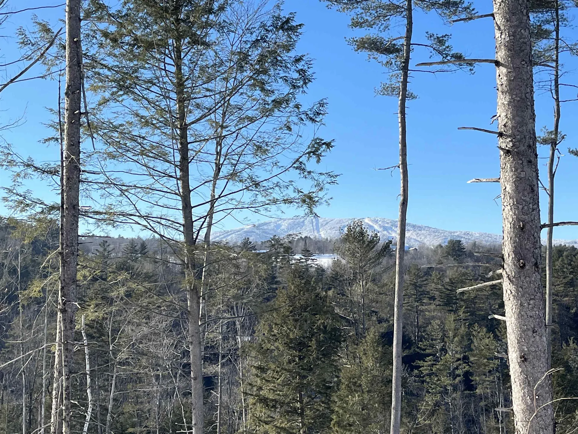 Macginnis Drive Ludlow VT 05149