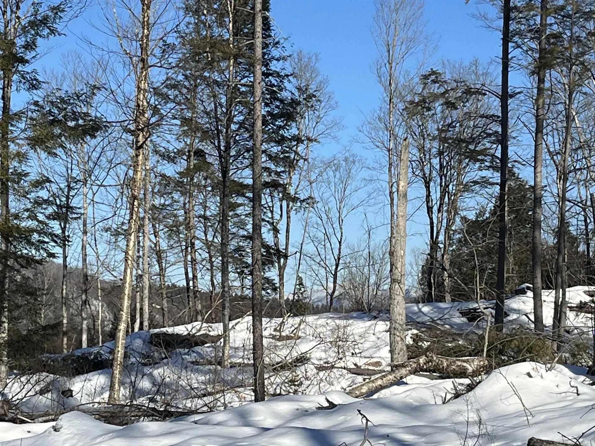 Macginnis Drive Ludlow VT 05149