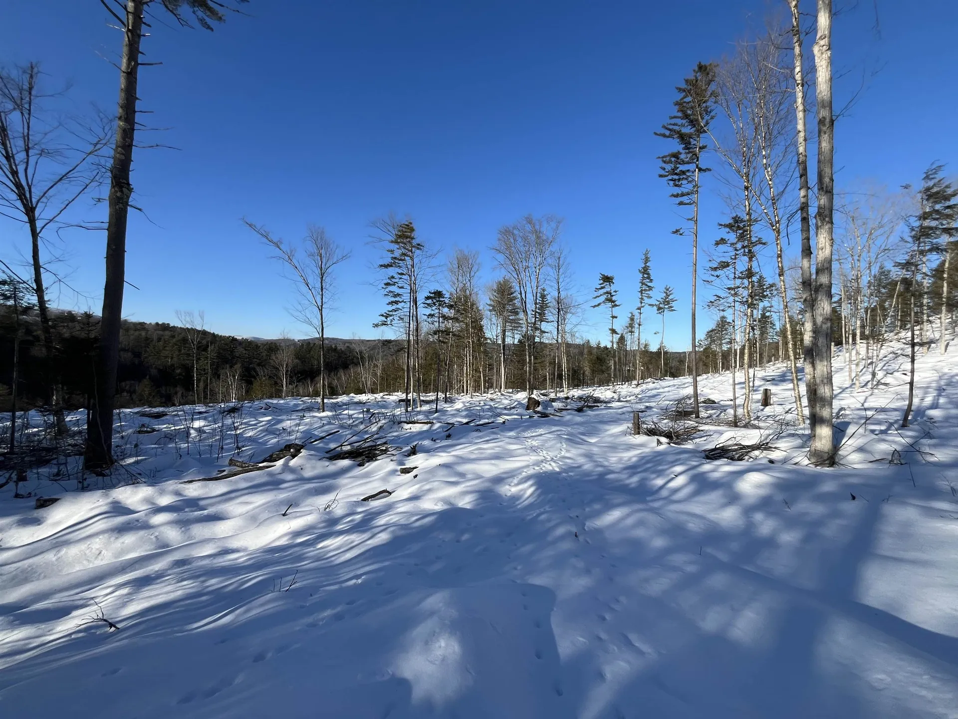 Macginnis Drive Ludlow VT 05149