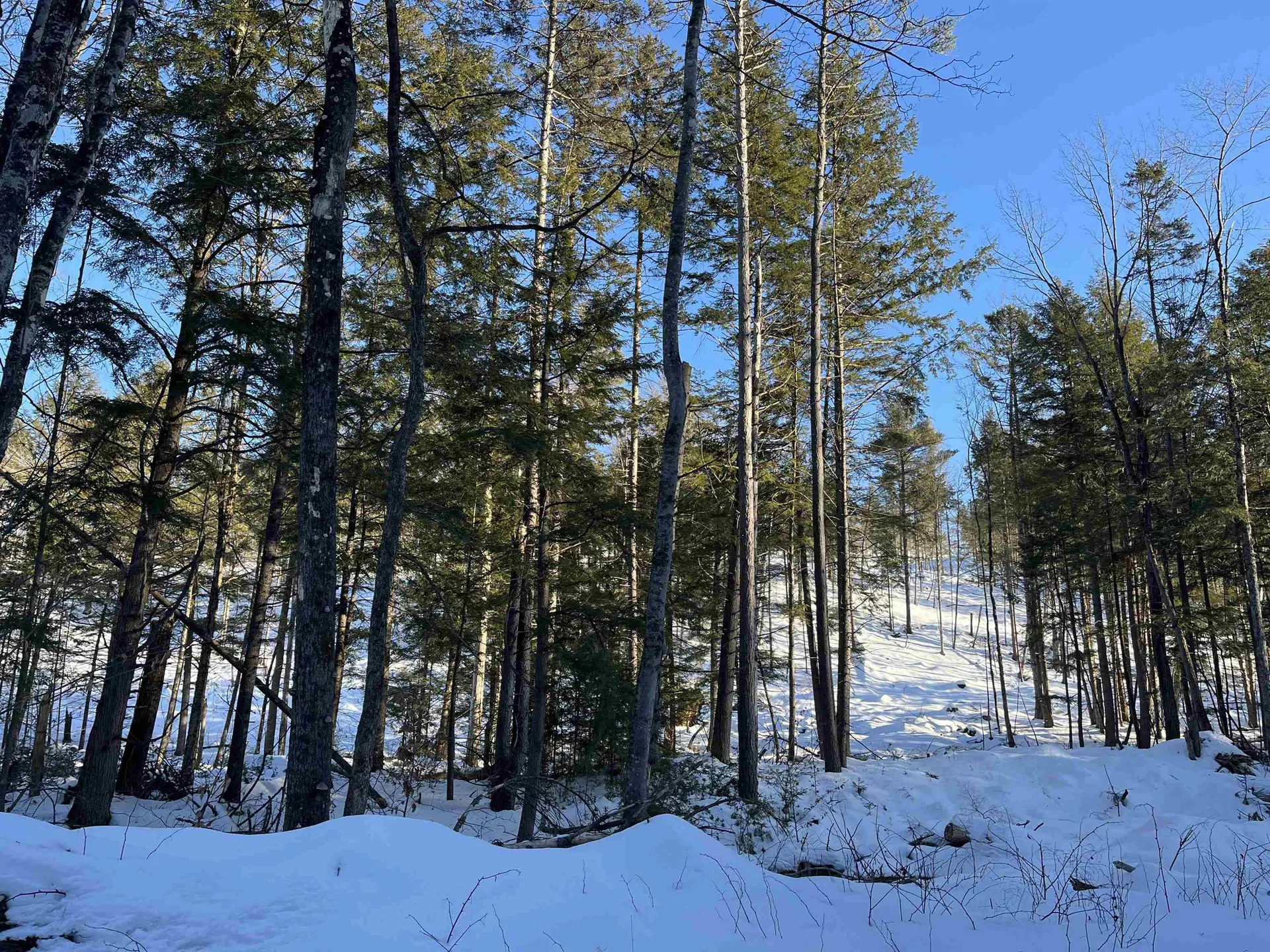 Macginnis Drive Ludlow VT 05149